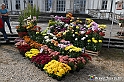 VBS_6794 - FLOREAL Ottobre 2022 - Tre giorni di fiori, piante e bellezza
